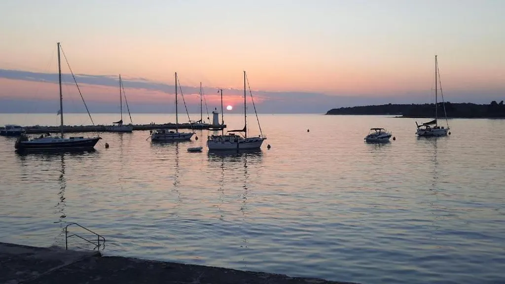 Newtown Apartment Novigrad